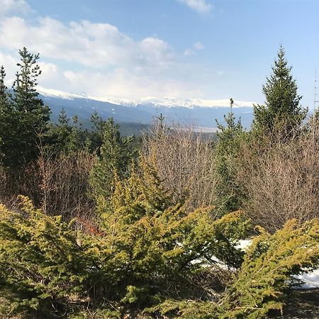 Borovets Hills Apartments - Evergreen Suite Buitenkant foto