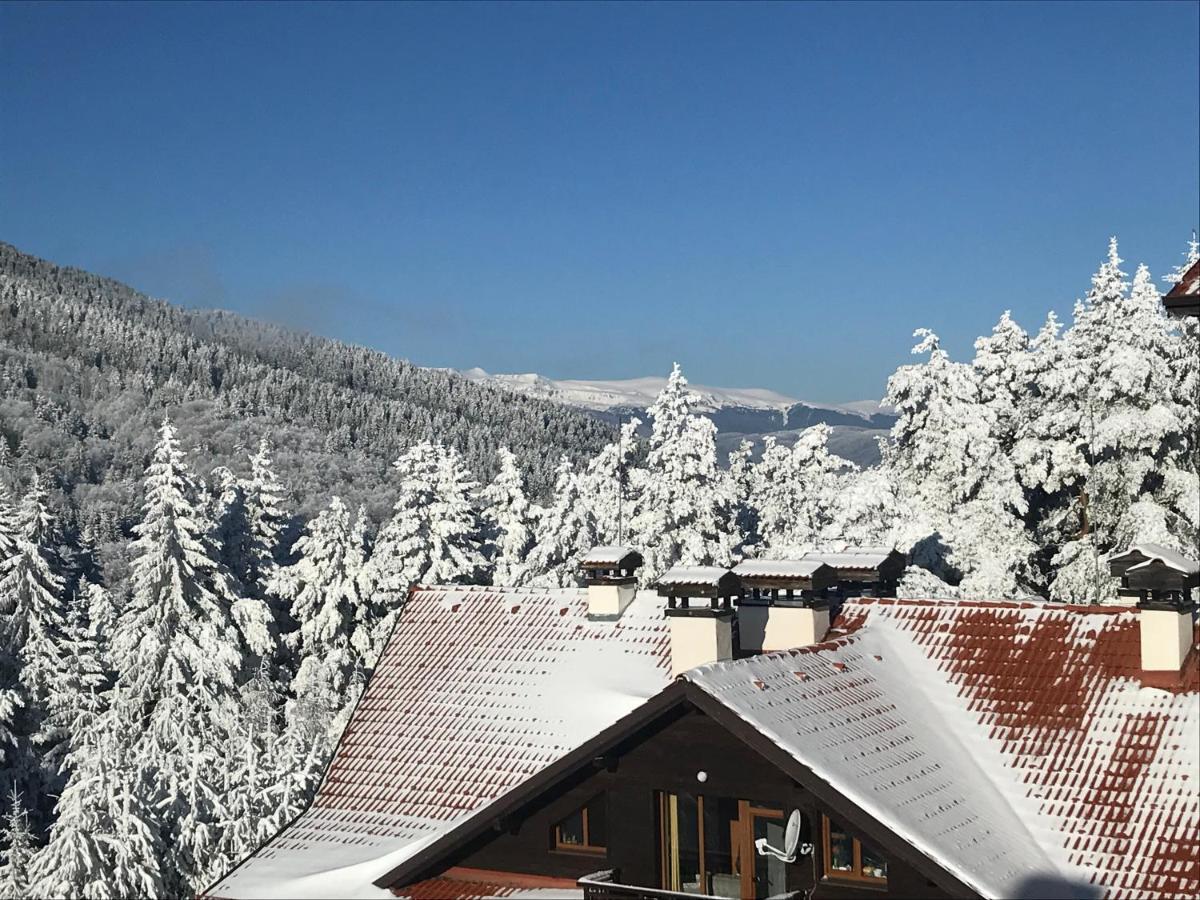 Borovets Hills Apartments - Evergreen Suite Buitenkant foto